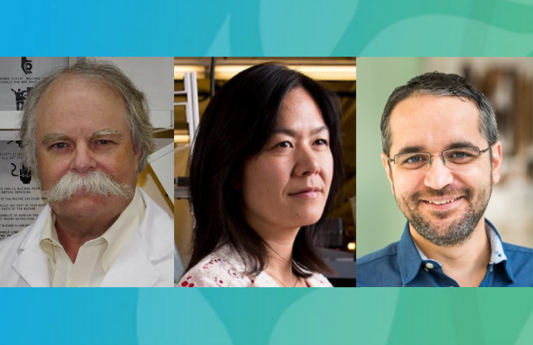 Headshots of the three Fellows: Ian Hunter, Evelyn Wang, and Mircea Dincă