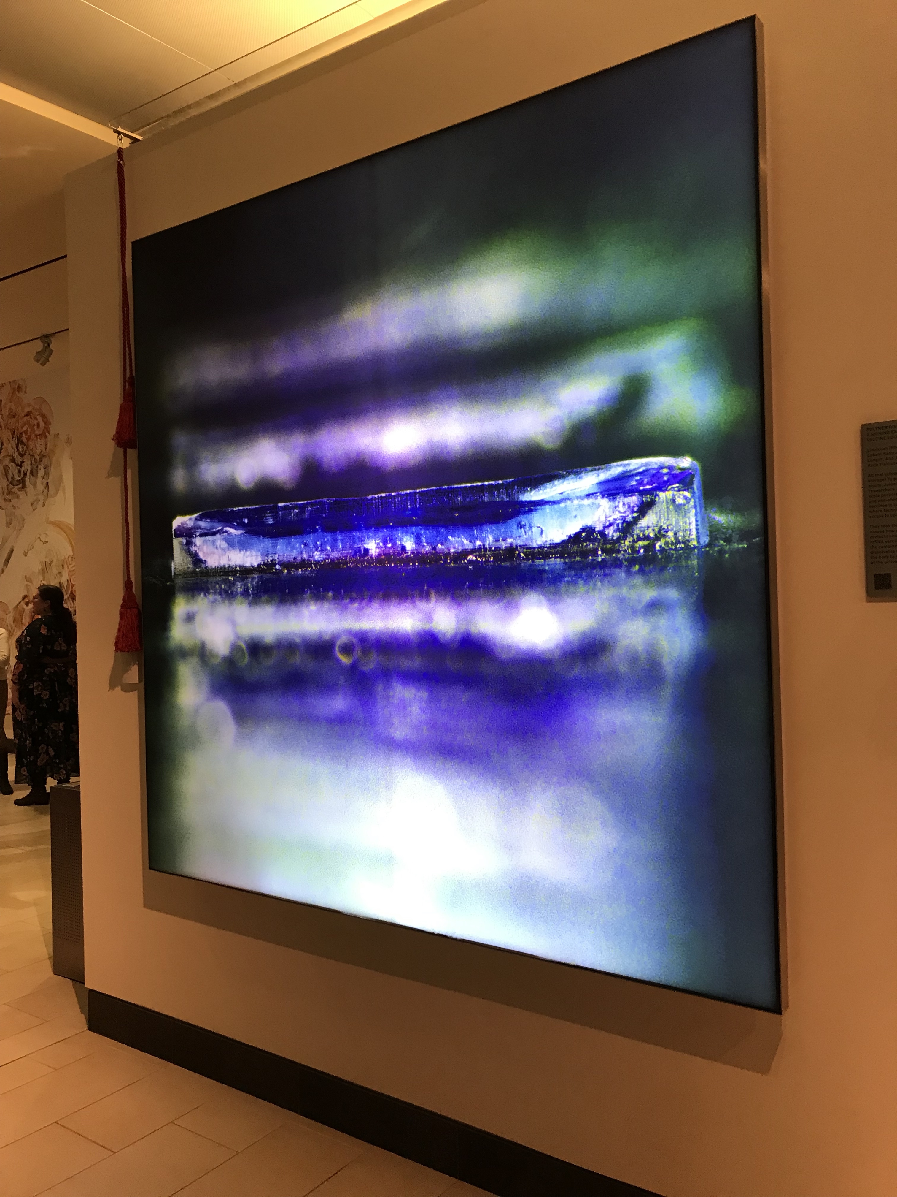 Framed photo on a wall showing  long slender metallic object lying vertically with a polymer coating in pink, and the dried mRNA vaccine in blue