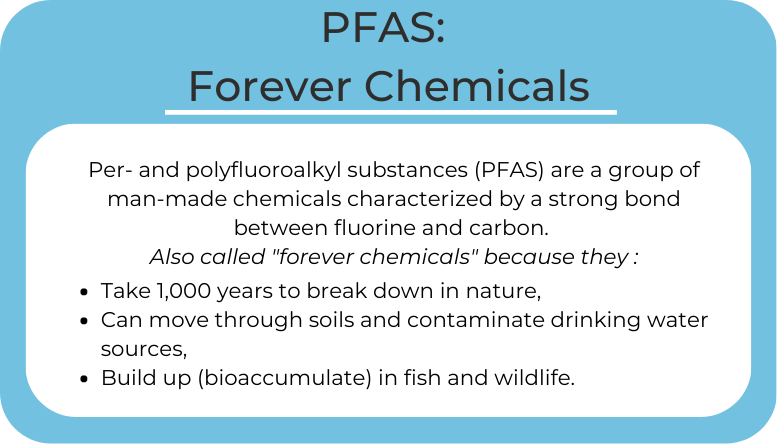 Blue banner with fact about PFAS