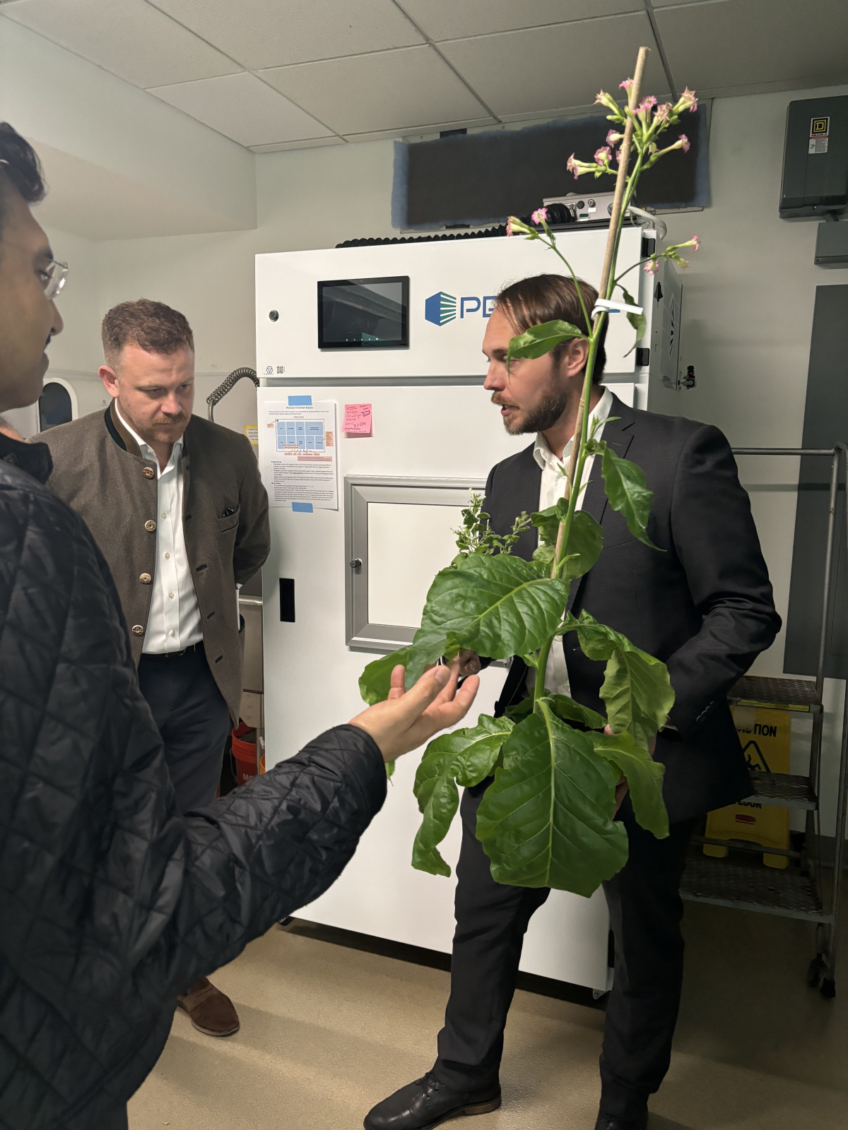 Robbie Wilson showing two people a tobacco plant in a lab setting