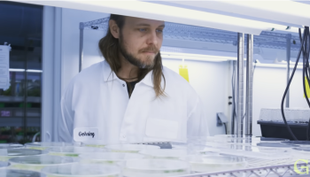  Robert Wilson in a lab coat examines Petri dishes under a bright light in a laboratory setting.