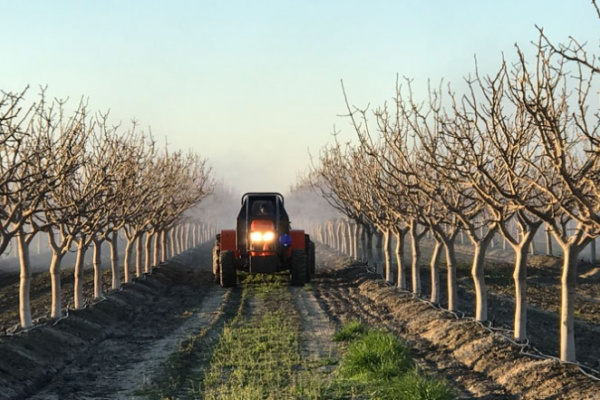 Image of a tractor rolling down an agricultural field with dead trees on either side