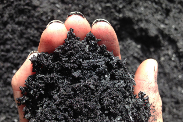 A close-up of a hand holding soil. 