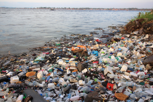 Plastic garbage on the shore.