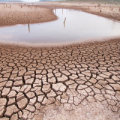 An arid landscape with cracked sand and a shallow pool of water.